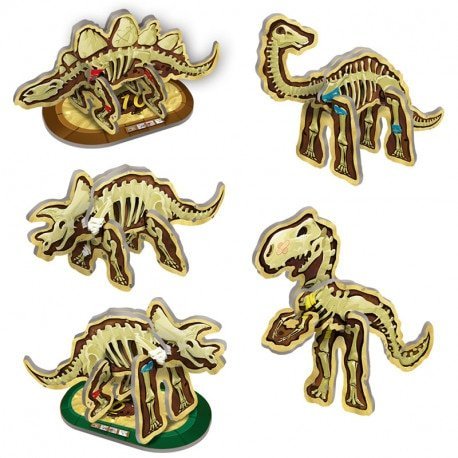 Dino Bones