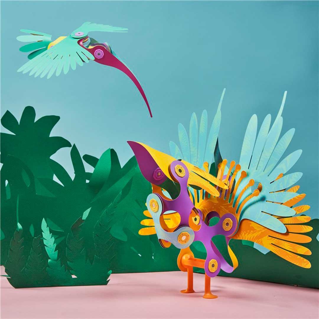 Pack Tropical Birds 22 Piezas - Clixo