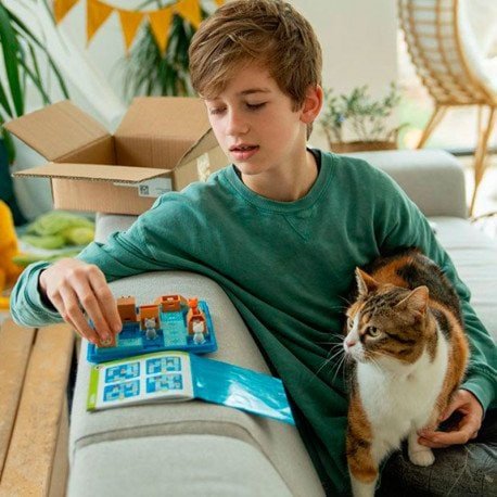 Gatos y cajas